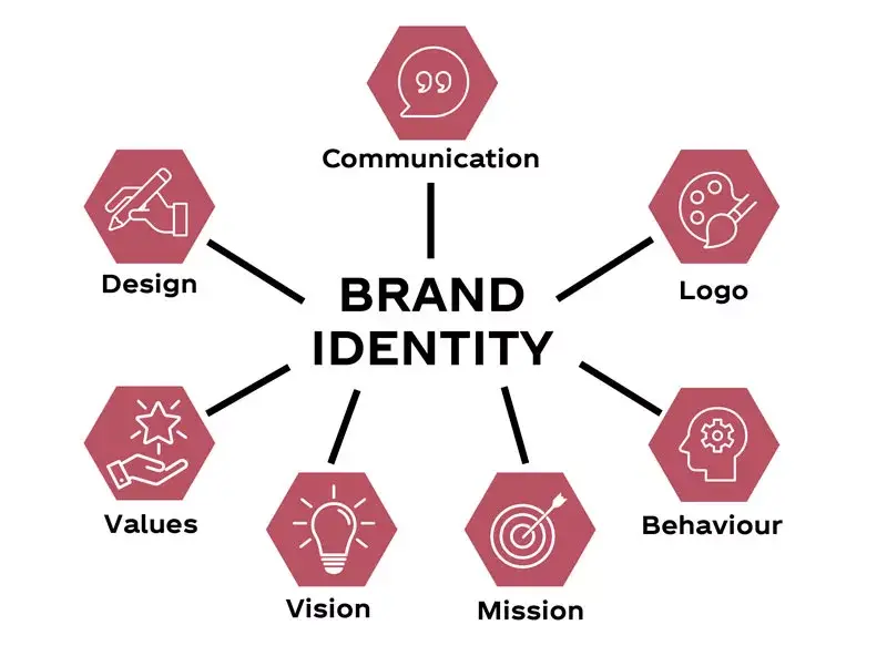 Brand Identity - Infographic