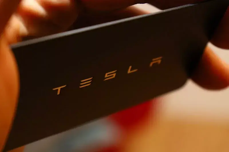 Brand Identity Example - Tesla